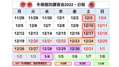 冬期個別講習会2022・日程